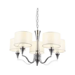 Cosmo Light Washington 5L