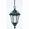 Endon Drayton Pendant - lampa zewnętrzna wisząca IP44