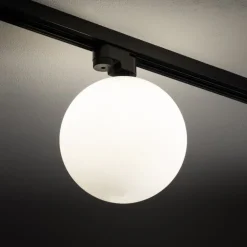 Profile snowball 11298